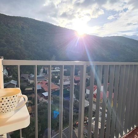 Apartament Vis De Sinaia ! Exteriör bild